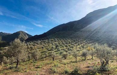 Tenuta in Sicilia di 30 ettari