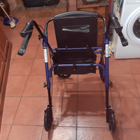 Deambulatore da strada