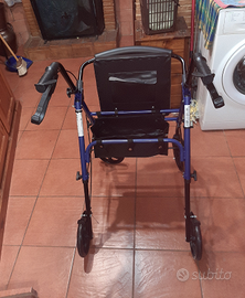 Deambulatore da strada