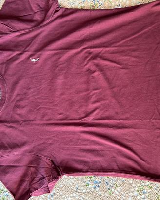 T-shirt uomo polo club