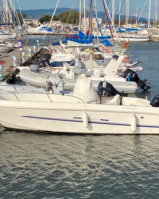 Acquaviva 21 fish