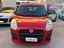 Immagine 2