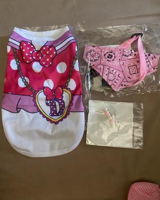 Accessori per cani