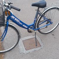 city bike da donna con cestino