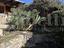 Immagine 22