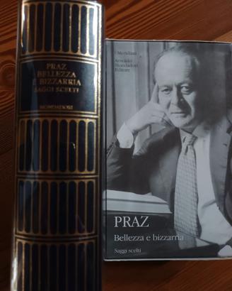 PRAZ  BELLEZZA E BIZZARRIA SAGGI SCELTI MONDADORI