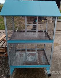 Pappagalli, canarini , colombi