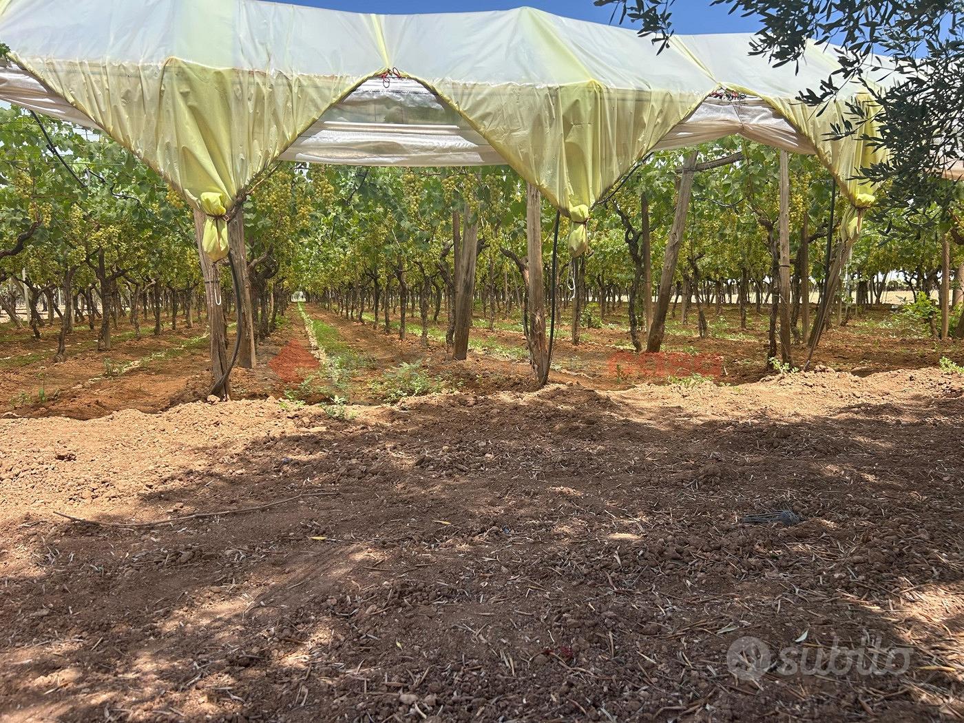 Terreno Agricolo Grottaglie [LM2586VCG] - Vista 3