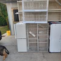 Gabbioni per canarini