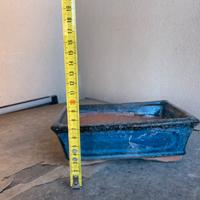 Vaso bonsai blu