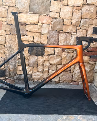 Giant tcr pro 0 (telaio)