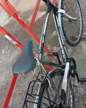 Bici da uomo