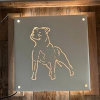 quadro artigianale raffigurato American Staffordsh