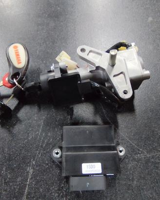 blocchetto accensione XMAX 400 13/14 1SD-WH250-00
