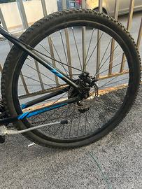 Bici Coppi 29.5