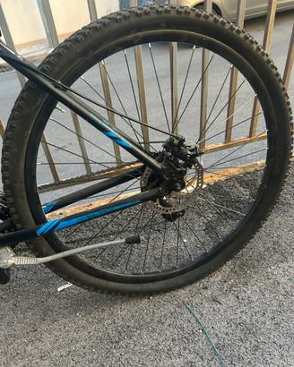 Bici Coppi 29.5