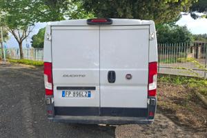 Fiat Ducato anno 2023