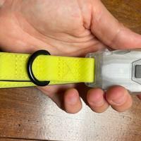 Collarino luminoso con luce notturna Dogs Creek