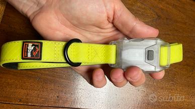 Collarino luminoso con luce notturna Dogs Creek