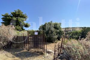 Terreno Agricolo Maracalagonis [TV-MARACRABONIVRG]