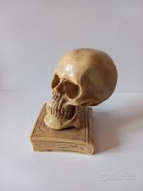 Fermacarte a forma di teschio