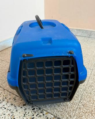 Portatina gatto