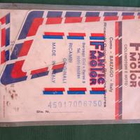 FANTIC MOTOR DECALCOMANIA ADESIVO