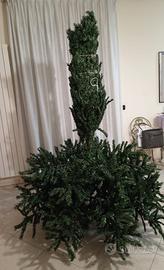 Albero di natale