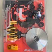 Variatore multivar per ciclomotori piaggio