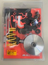 Variatore multivar per ciclomotori piaggio