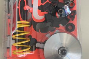 Variatore multivar per ciclomotori piaggio