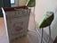 Immagine 2