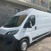 Fiat ducato frigo anno 2020 metano lungo