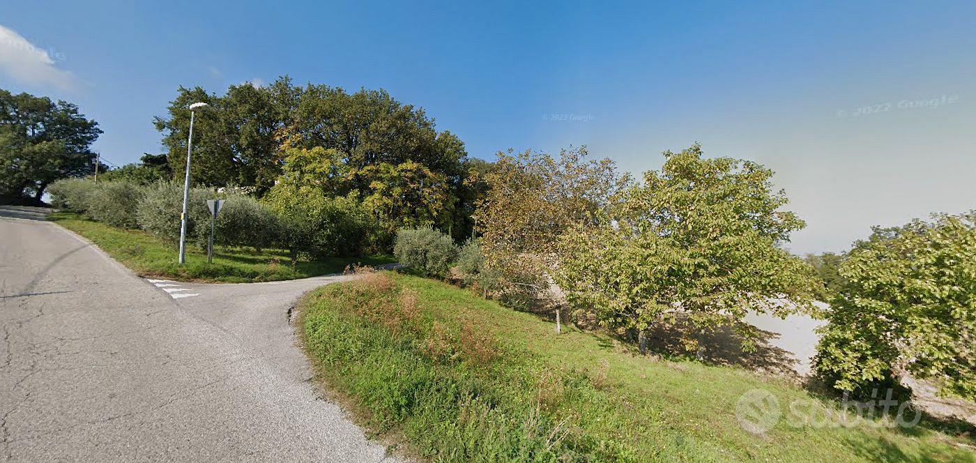 Terreno agricolo 1.300 m² con 39 ulivi produttivi - Vista 3