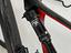 Immagine 7