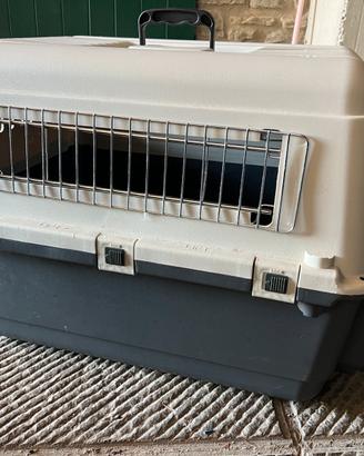 Box trasporto cane