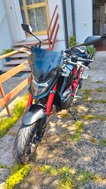 Hornet 750