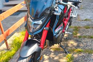 Hornet 750