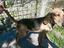 Immagine 4