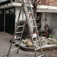 Scala  Marca FARAONE a 3 elementi