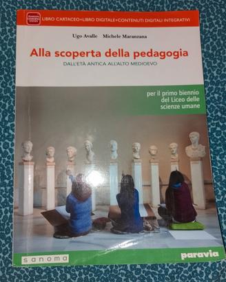 libro scolastico 