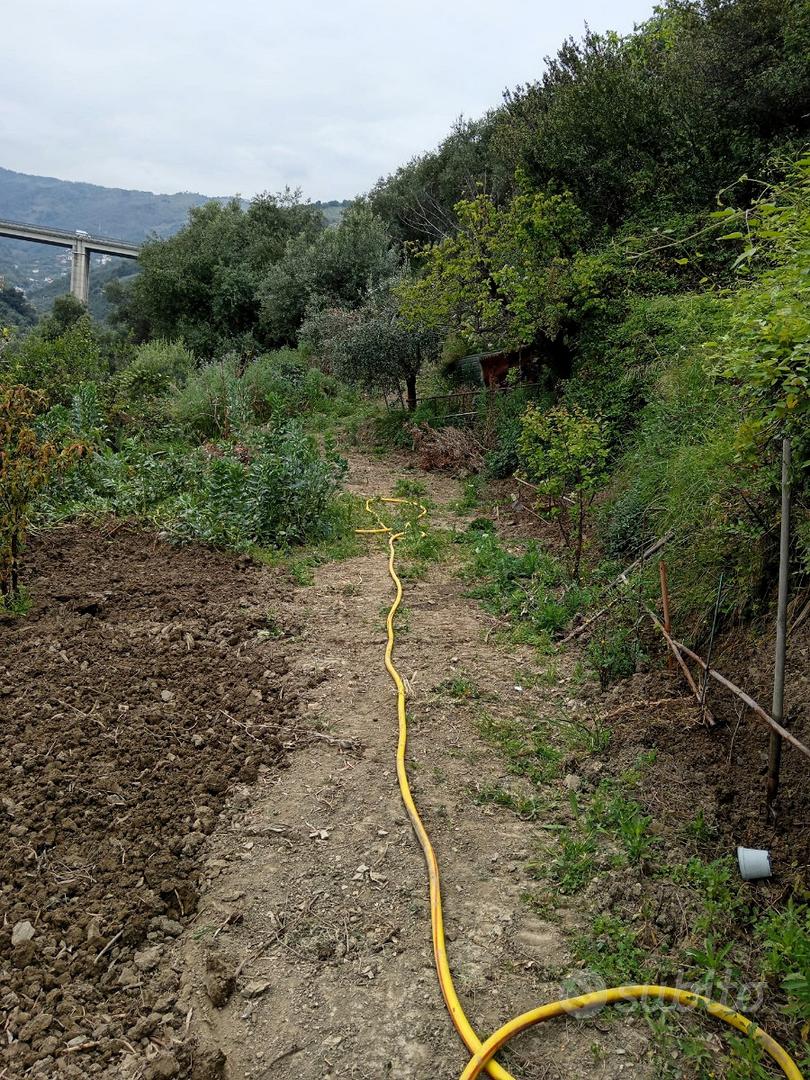 Terreno agricolo con deposito - Vista 2