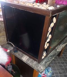 Acquario
