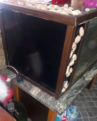 Acquario