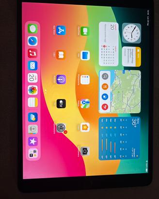 iPad Pro (10,5")