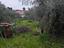 Immagine 8