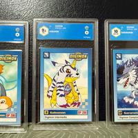 Digimon linea Gabumon/Garurumon serie TV GRAAD