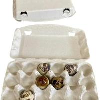 50 contenitori in cartone da 18 uova di Quaglia