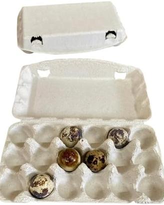 50 contenitori in cartone da 18 uova di Quaglia