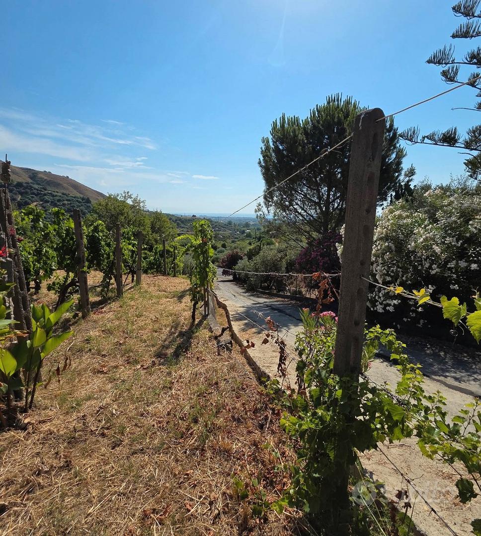 Terreno agricolo vigneto e uliveto a Calatabiano - Altro
